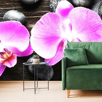 FOTÓTAPÉTA GYÖNYÖRŰ ORCHIDEA ÉS KÖVEK - FENG SHUI TAPÉTÁK - TAPÉTÁK