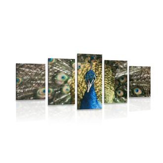 5-DÍLNÝ OBRAZ PÁV V PLNÉ KRÁSE - OBRAZY ZVÍŘAT - OBRAZY