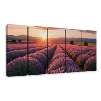 5-DÍLNÝ OBRAZ LEVANDULOVÉ POLE PŘI ZÁPADU - PICTURES OF FIELDS AND MEADOWS - PICTURES