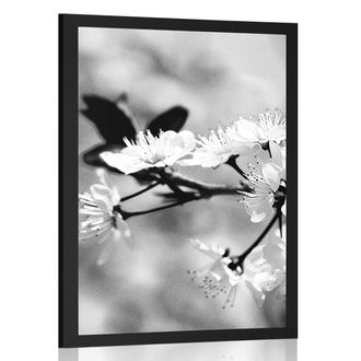 AFFICHE FLEUR DE CERISIER EN NOIR ET BLANC - NOIR ET BLANC - AFFICHES