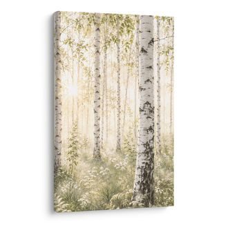 OBRAZ JEMNÝ LES BÍLÝCH BŘÍZ - PICTURES FOREST - PICTURES