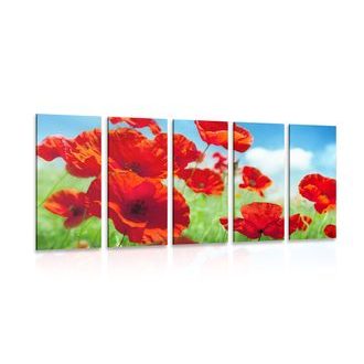 5-DÍLNÝ OBRAZ KVĚTY MÁKU NA LOUCE - OBRAZY KVĚTŮ - OBRAZY