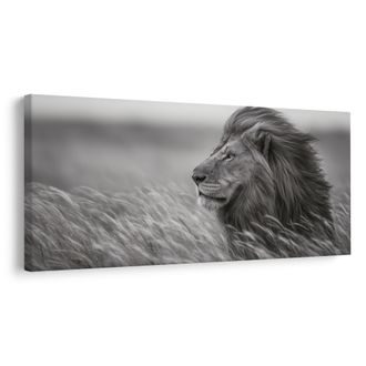 OBRAZ MAJESTÁTNÍ LEV V PŘÍRODĚ - OBRAZY LVI A TYGŘI - OBRAZY