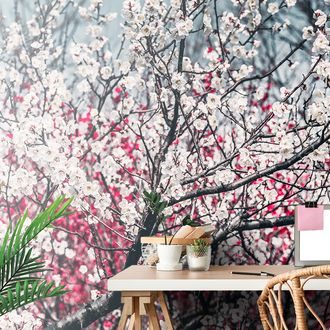 SELF ADHESIVE WALL MURAL PEACH FLOWERS - SELF-ADHESIVE WALLPAPERS - WALLPAPERS