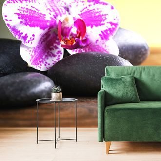 WALL MURAL ORCHID AND BLACK STONES - WALLPAPERS FENG SHUI - WALLPAPERS