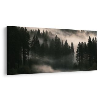 OBRAZ RANNÍ OPAR NAD LESEM - PICTURES FOREST - PICTURES