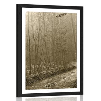 POSTER WITH MOUNT SEPIA PATH TO THE FOREST - NATURE - POSTERS