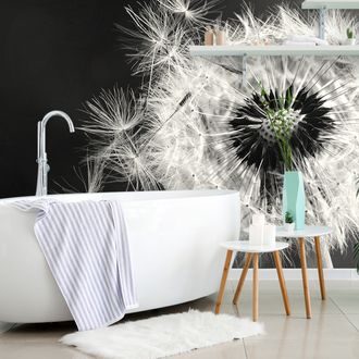 WALL MURAL BLACK AND WHITE DETAIL OF A DANDELION - BLACK AND WHITE WALLPAPERS - WALLPAPERS