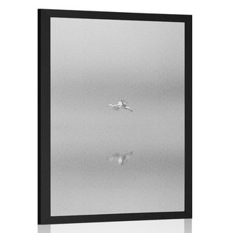 POSTER VOGEL IM NEBEL IN SCHWARZ-WEISS - SCHWARZ-WEISS - POSTER