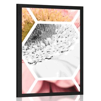 POSTER GERBERA IN A HEXAGON - FLOWERS - POSTERS