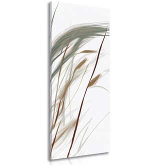 CANVAS PRINT BLOWING GRASS BLADES - PICTURES OF TREES AND LEAVES - PICTURES