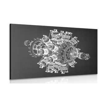 OBRAZ HVĚZDICOVÝ MOTOR - ČERNOBÍLÉ OBRAZY - OBRAZY