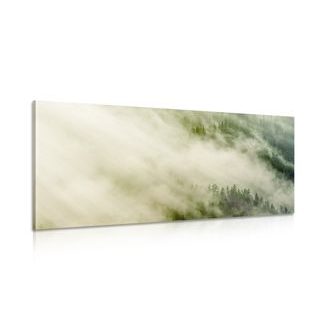 CANVAS PRINT MISTY FOREST - PICTURES OF NATURE AND LANDSCAPE - PICTURES