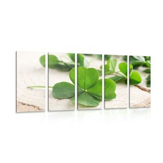 5-PIECE CANVAS PRINT GREEN FOUR-LEAF CLOVERS - STILL LIFE PICTURES - PICTURES