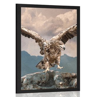 Poster vultur cu aripile întinse deasupra munților