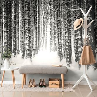 WALL MURAL BLACK AND WHITE FOREST COVERED IN SNOW - BLACK AND WHITE WALLPAPERS - WALLPAPERS