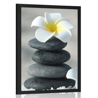 POSTER HARMONISCHE STEINE UND PLUMERIA-BLÜTE - FENG SHUI - POSTER