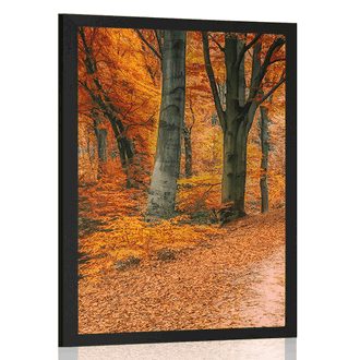 POSTER FOREST IN AUTUMN - NATURE - POSTERS