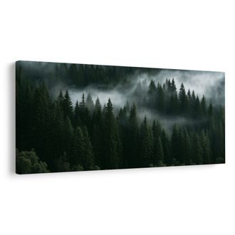 OBRAZ TEMNÝ LES ZAHALENÝ MLHOU - PICTURES FOREST - PICTURES