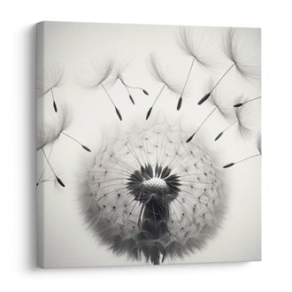 OBRAZ DETAIL PAMPELIŠKY - OBRAZY PAMPELIŠKA - OBRAZY