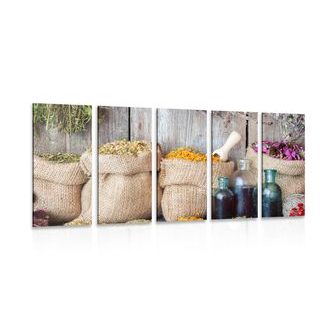 5-PIECE CANVAS PRINT MEDICINAL HERBS - PICTURES OF FOOD AND DRINKS - PICTURES