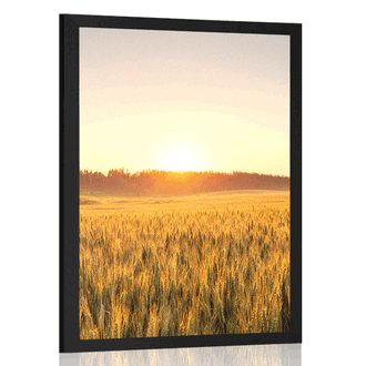 POSTER SUNSET OVER THE FIELD - NATURE - POSTERS