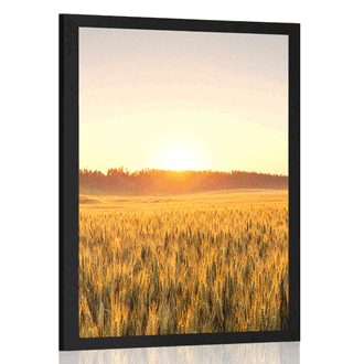 AFFICHE COUCHER DE SOLEIL SUR LE TERRAIN - NATURE - AFFICHES