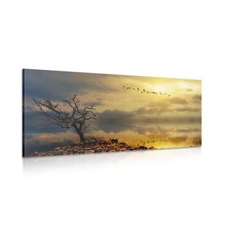 OBRAZ VYSCHLÝ STROM - OBRAZY PŘÍRODY A KRAJINY - OBRAZY