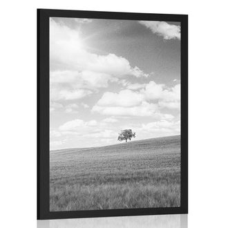 POSTER BEAUTIFUL SUNNY DAY ON THE MEADOW IN BLACK AND WHITE - BLACK AND WHITE - POSTERS