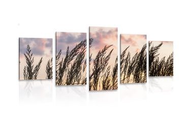 5-PIECE CANVAS PRINT GRASS AT SUNSET - PICTURES OF NATURE AND LANDSCAPE - PICTURES