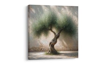 WANDBILD ALTER OLIVENBAUM IM MITTELMEER - BILDER BÄUME UND LAUB - BILDER