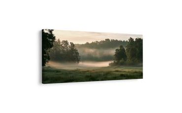 TABLEAU SUR TOILE – BRUME MATINALE ENTRE LES ARBRES - TABLEAUX DE CHAMPS ET PRAIRIES - TABLEAUX