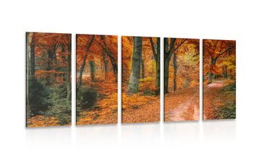 QUADRO IN 5 PARTI FORESTA IN AUTUNNO - QUADRI DI NATURA E PAESAGGIO - QUADRI