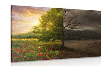 CANVAS PRINT TWO FORMS OF A TREE - PICTURES OF NATURE AND LANDSCAPE - PICTURES