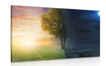 OBRAZ DEN A NOC - OBRAZY PŘÍRODY A KRAJINY - OBRAZY