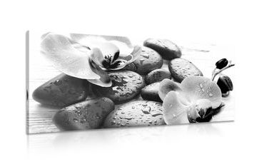 CANVAS PRINT MAGICAL INTERPLAY OF STONES AND ORCHIDS IN BLACK AND WHITE - BLACK AND WHITE PICTURES - PICTURES