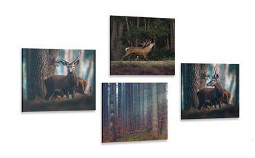 CANVAS PRINT SET MAGIC OF FOREST ANIMALS - SET OF PICTURES - PICTURES