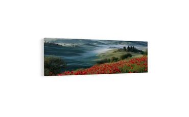 SLIKA KRAJOLIK S MAGLOVITOM DOLINOM - SLIKE POLJA I LIVADA - SLIKE