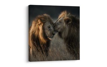 KÉP A TERMÉSZET FENSÉGES EREJE - TIGRIST, OROSZLÁNT ÁBRÁZOLÓ KÉPEK - KÉPEK