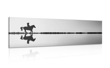 ΕΙΚΌΝΑ ΕΝΌΣ ΚΑΒΑΛΆΡΗ ΣΕ ΑΣΠΡΌΜΑΥΡΟ - ΠΊΝΑΚΕΣ ΑΣΠΡΌΜΑΥΡΕΣ - ΠΊΝΑΚΕΣ