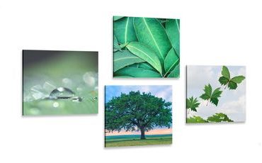 CANVAS PRINT SET NATURE FULL OF GREENERY - SET OF PICTURES - PICTURES