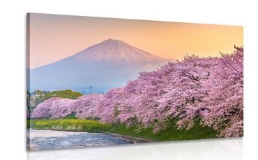 CANVAS PRINT JAPANESE FUJI VOLCANO - PICTURES OF NATURE AND LANDSCAPE - PICTURES