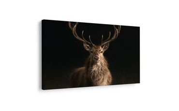 TABLEAU SUR TOILE – CERF MAJESTUEUX DANS L’OBSCURITÉ - TABLEAUX DE CERFS - TABLEAUX