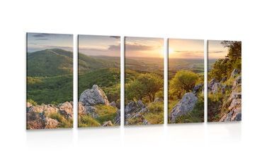 5-PIECE CANVAS PRINT NATURE BATHED IN THE SUN - PICTURES OF NATURE AND LANDSCAPE - PICTURES