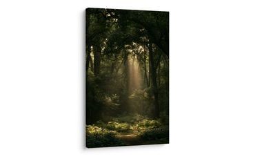 TABLEAU SUR TOILE – LUMIÈRE MYSTÉRIEUSE DU MATIN EN FORÊT - TABLEAUX FORÊT - TABLEAUX