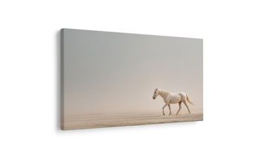 KÉP FEHÉR LÓ A SIVATAGBAN - LOVAS KÉPEK - KÉPEK