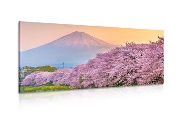 CANVAS PRINT BEAUTIFUL JAPAN - PICTURES OF NATURE AND LANDSCAPE - PICTURES