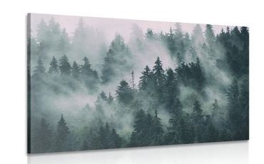 Wandbild Berge im Nebel