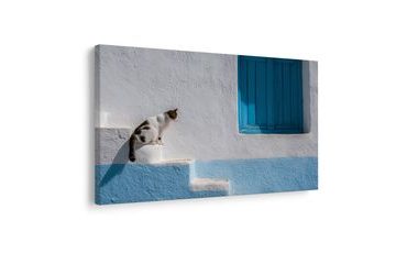 SLIKA MAČKA NA PLAVIM STUBAMA - SLIKE MAČKE - SLIKE
