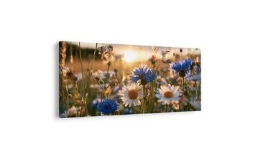 TABLEAU SUR TOILE – PRAIRIE D’ÉTÉ DANS UNE LUMIÈRE DORÉE - TABLEAUX DE FLEURS - TABLEAUX